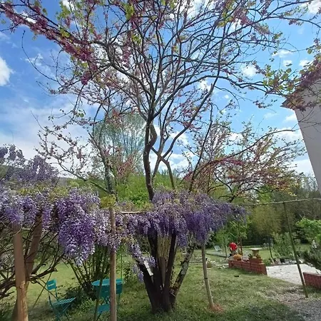 Bed & Breakfast Le Moment Present